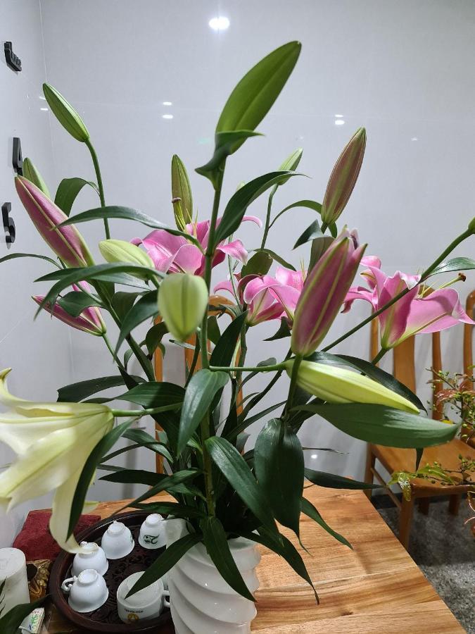 Ocean View Quy Nhon Hotel 외부 사진